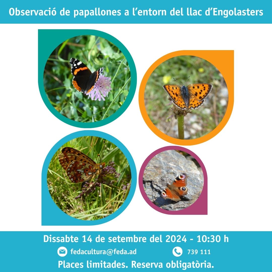 Activitat de descoberta de la biodiversitat duta a terme en col·laboració amb Andorra Recerca + Innovació. 